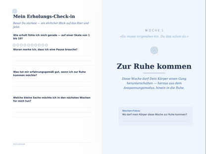 Recovery - Vorschau Woche 1