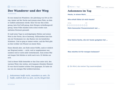 Recovery - Vorschau Tag 1